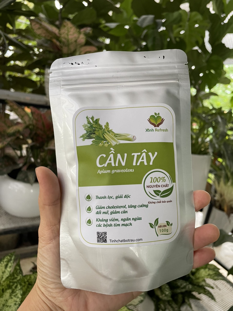 TINH CHẤT BỘT CẦN TÂY